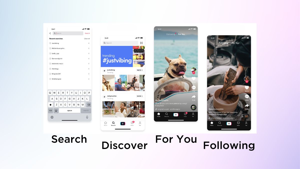 TikTok search discover