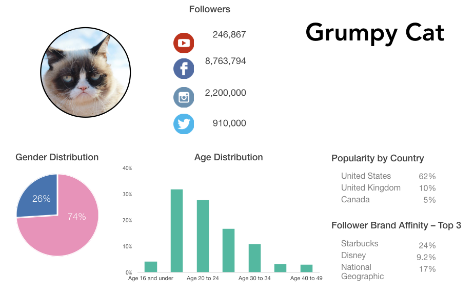 grumpy cat has been a smash hit and taken the world by storm since 2012 when she first made her climb to success with a combined reach over 12 1 million - how to get my cat followers on instagram