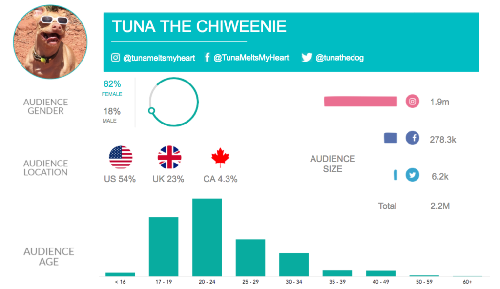 Top Dogs On Social Media | NeoReach | Influencer Marketing