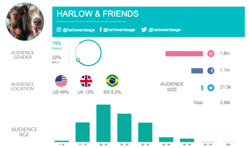 Top Dogs On Social Media | NeoReach | Influencer Marketing