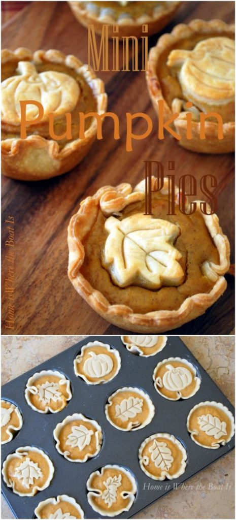 Mini Pumpkin Pies Pinterest Thanksgiving Recipe