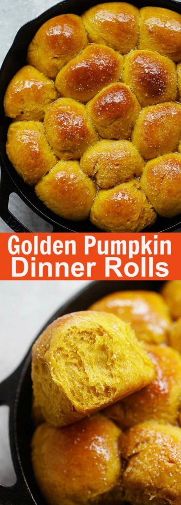 Pumpkin Dinner Rolls Pinterest Thanksgiving Recipe