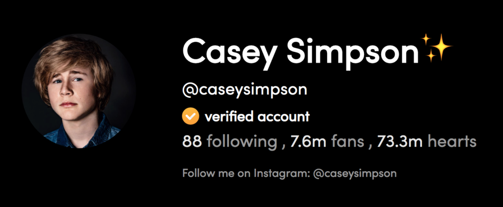 Casey Simpson's TikTok Profile