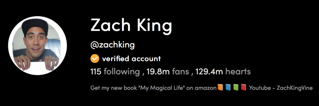 Zach King's TikTok Profile