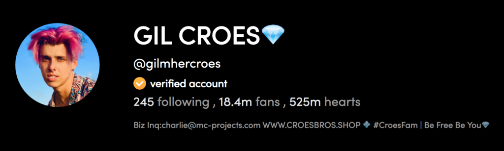 Top TikTok Boys Gil Croes' Profile