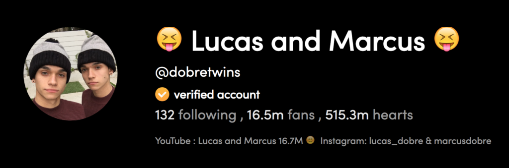 Top TikTok Boys Dobre Twins' Profile
