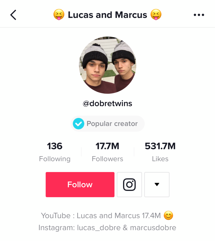 The Dobre Twins Promoting Their Other Channels