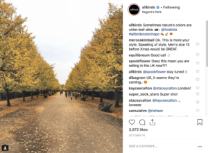 All Birds social media marketing example of how to use Instagram