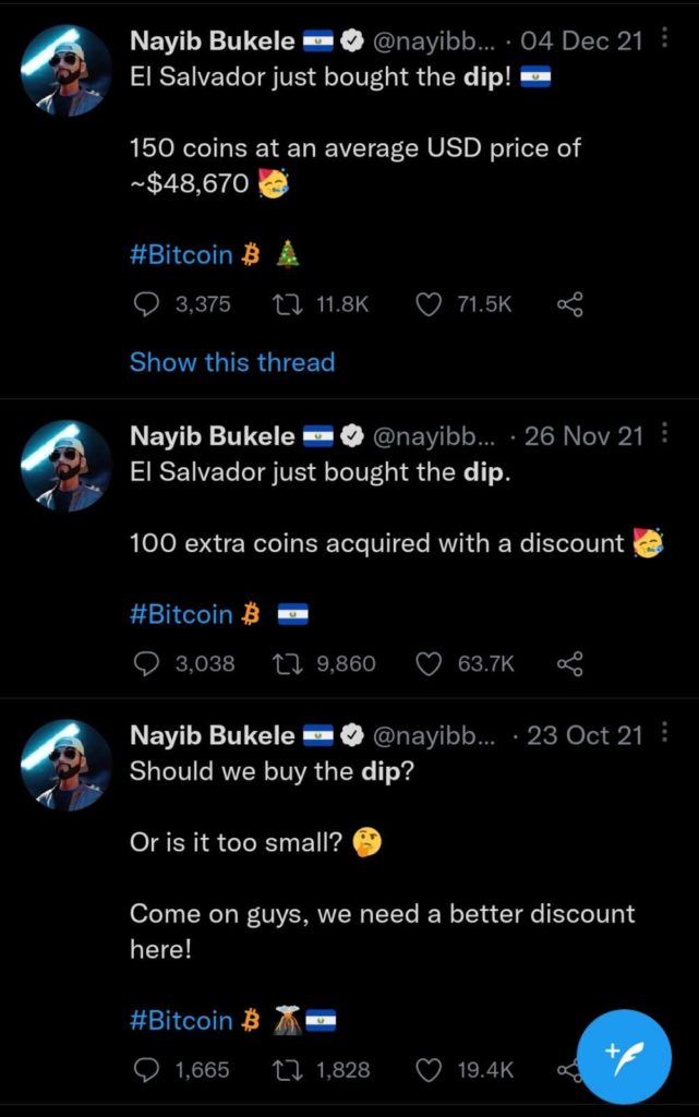 The president of el salvador is investing crypto