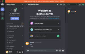 discord influencer marketing through channels